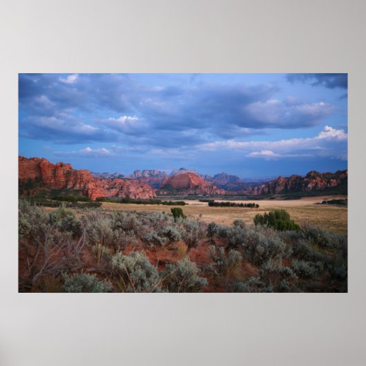 nationaal park zion poster (Voorkant)