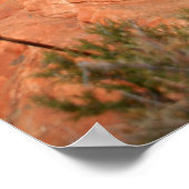 nationaal park zion poster (Hoek)