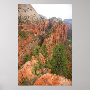 nationaal park zion poster