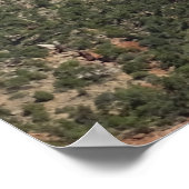 Nationaal Park Zion Poster (Hoek)