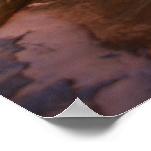 nationaal park zion poster (Hoek)