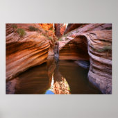 nationaal park zion poster (Voorkant)