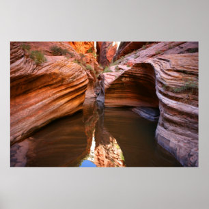 nationaal park zion poster