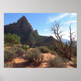 Nationaal Park Zion Poster