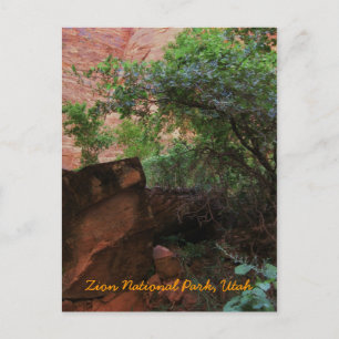 Nationaal Park Zion, Utah Briefkaart
