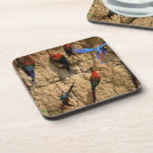 Nationaal Park Zuid-Amerika, Peru, Manu, Drankjes Onderzetter (Linkerzijde)