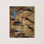 Nationaal Park Zuid-Amerika, Peru, Manu, Legpuzzel (Verticaal)