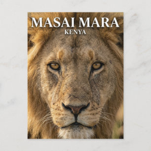 Nationaal Reservaat Masai Mara Kenia Briefkaart