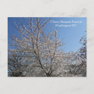 National Cherry Blossom Festival Washington DC 001 Briefkaart