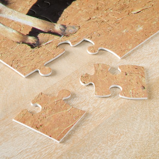 National Lick A Tortoise Day Puzzle (Côté)