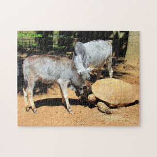 National Lick A Tortoise Day Puzzle Legpuzzel