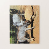 National Lick A Tortoise Day Puzzle Legpuzzel (Verticaal)