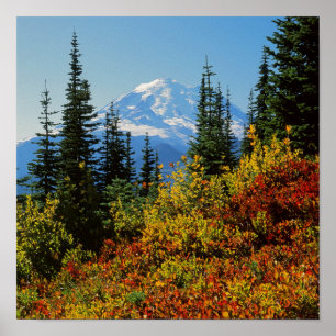 National Park 2 VS, Washington, Mt. Rainier Poster