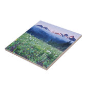 National Park 4 VS, Washington, Mt. Rainier Tegeltje (Zijkant)