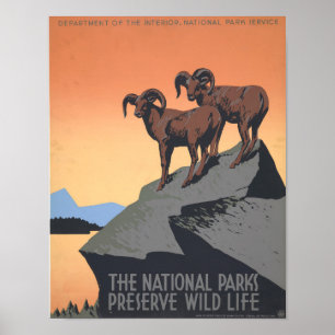 National Park Unedited Photos Old Aestheti Poster