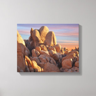 National Park VS, Californië, Joshua Tree Canvas Afdruk