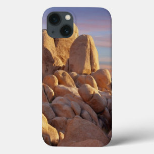 National Park VS, Californië, Joshua Tree iPhone 13 Hoesje