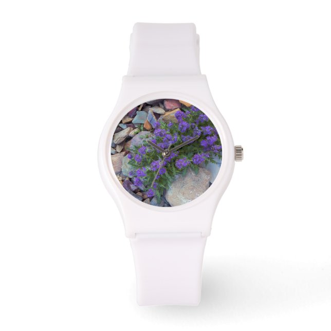 National Park VS, Montana, Glacier Horloge (Voorkant)