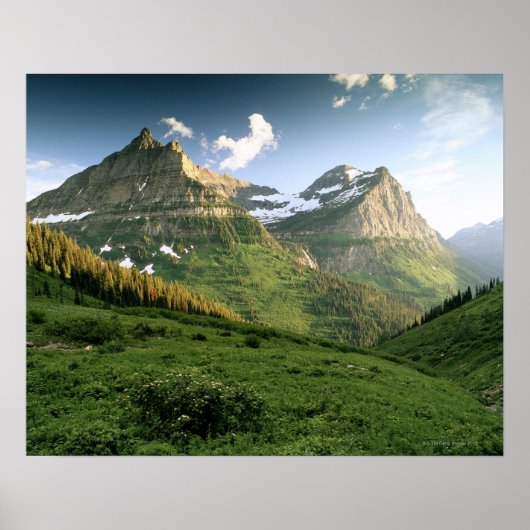 National Park VS, Montana, Glacier Poster (Voorkant)