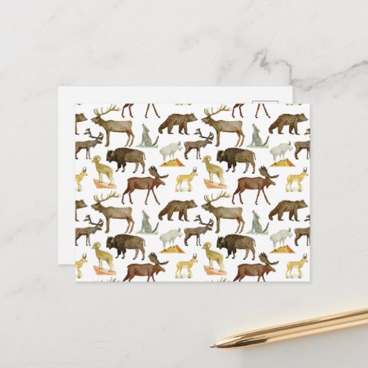 National Parks Wildlife Briefkaart (Voorkant / Achterkant in situ)