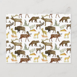 National Parks Wildlife Briefkaart