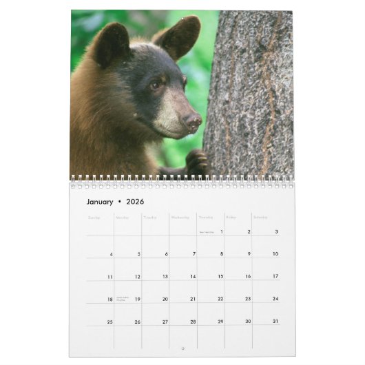 National Parks Wildlife Fotokalender Kalender (Jan 2026)