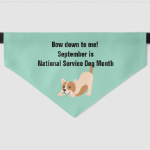 Nationale Dienst Hond Maand Speelboog