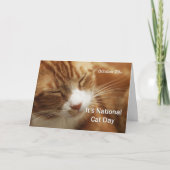 Nationale kattendag 29 oktober kaart (Voorkant)