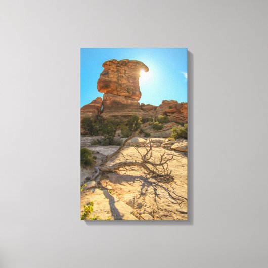 Nationale parkdag canvas afdruk (Voorkant)