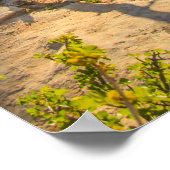 Nationale parkdag poster (Hoek)