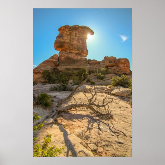 Nationale parkdag poster (Voorkant)