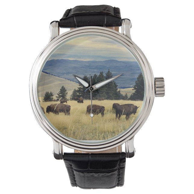 Nationale parken Bison Herd Horloge (Voorkant)