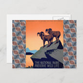 Nationale parken briefkaart (Voorkant / Achterkant)