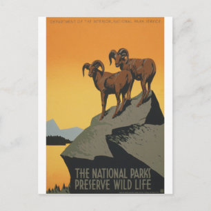 Nationale parken - Wilde Leven behouden Briefkaart