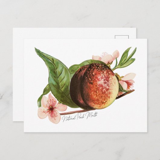 Nationale Pertsmaand Briefkaart (Voorkant / Achterkant)