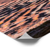 Nationale reserve voor de Andesfauna in Eduardo Ab Poster (Hoek)