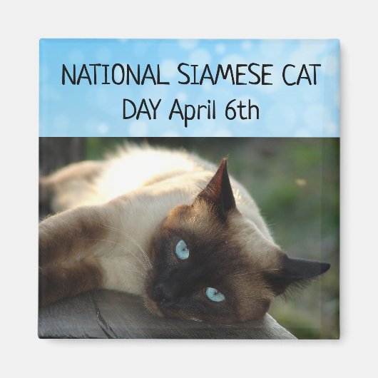 Nationale Siamese kat Dag 6 april Magnet Magneet (Voorkant)