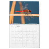 Nationale Sleutelfiguur van het Deer Refuge-rooste Kalender (Feb 2026)