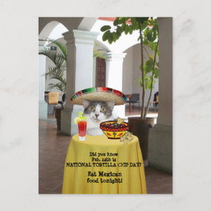 Nationale Tortilla Chip Day Funny Cat Briefkaart
