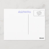 Nationale vulkanische site St. Helens monteren Briefkaart (Achterkant)