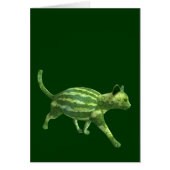 Nationale watermeloendag (Voorkant)