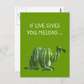 Nationale watermeloendag briefkaart (Voorkant / Achterkant)