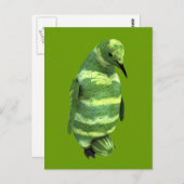 Nationale watermeloendag Penguin Briefkaart (Voorkant / Achterkant)