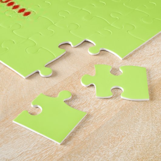 Native 10 Commandements 676 Piece Puzzle (Côté)