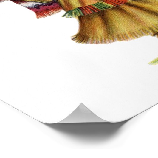 Native American in traditionele kleding Poster (Hoek)