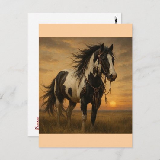 Native American Paint Horse Briefkaart - Kangee (Voorkant / Achterkant)