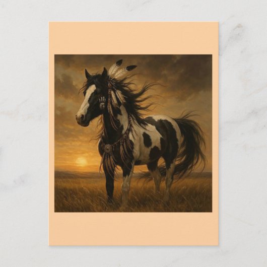 Native American Paint Horse Briefkaart - Koko (Voorkant)