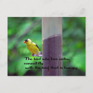 Native American Proverb Briefkaart