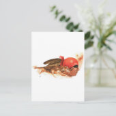 Native American Wolf Clan Cherokee Indian Warrior Briefkaart (Staand voorkant)