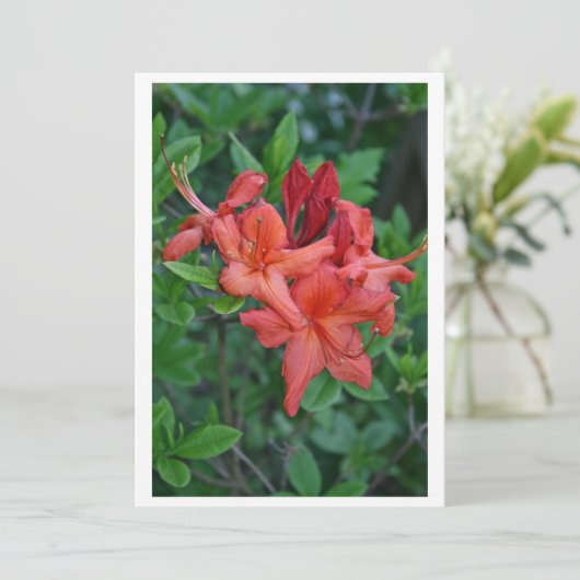 Native Azalea Spring Invitation Card Kaart (Staand voorkant)